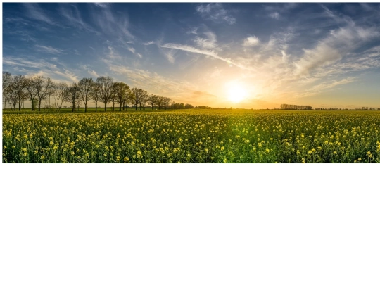 ejercicioframes/pagina7frames screenshot