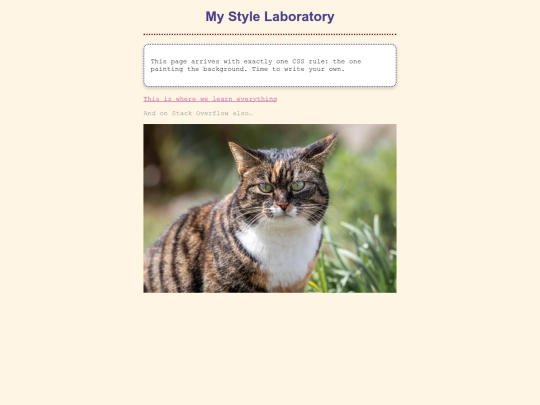 style_laboratory screenshot