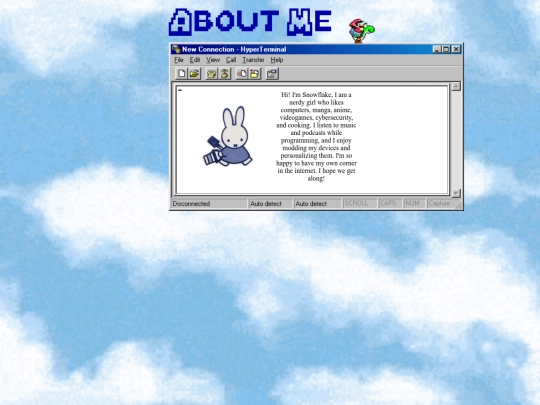 aboutMe screenshot