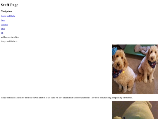 Everythingelse/staff-page screenshot