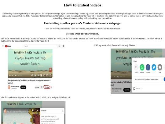 embeddingvideo/tutorial screenshot