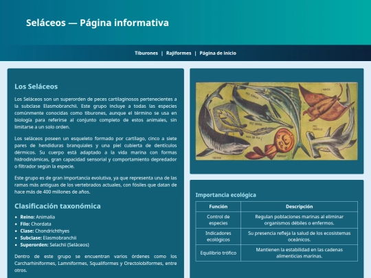 Peces/Seláceos screenshot