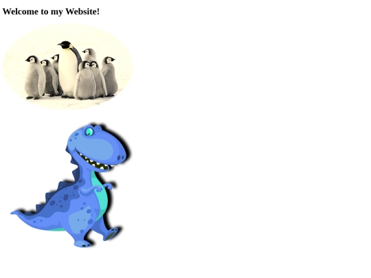 a screenshot