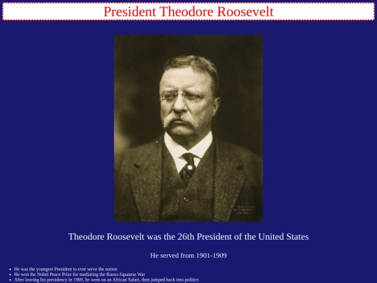 presidentprofileminiproject screenshot