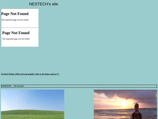 nestech screenshot