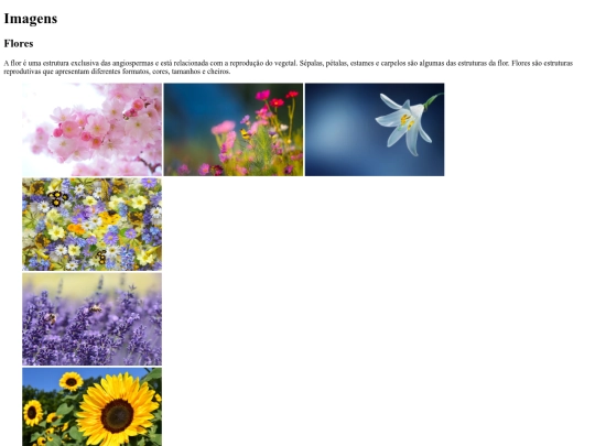 atividade5/questao4 screenshot