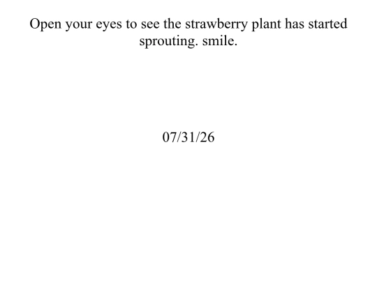 Page11 screenshot