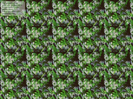 webgarden screenshot