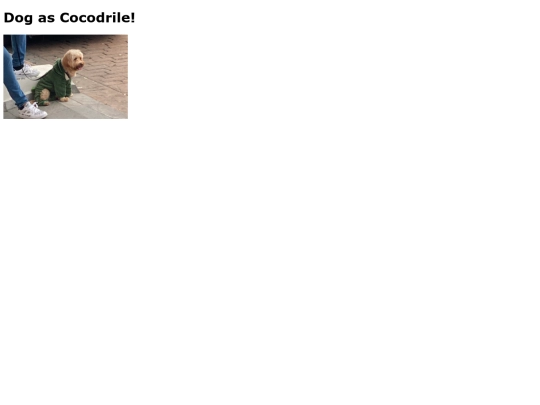 cocodrilo screenshot