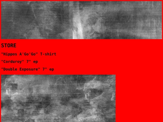 store screenshot