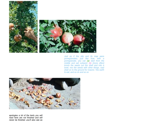 pomegranate screenshot