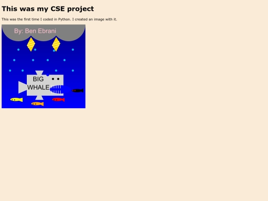 CSE_project screenshot