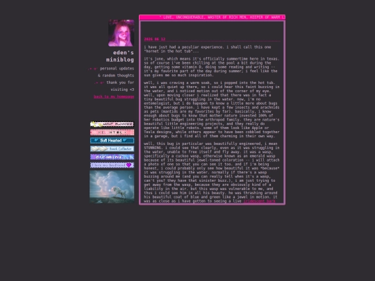 miniblog screenshot