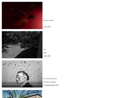 my website/2024 screenshot