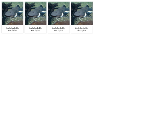 gallery screenshot
