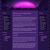 justsassy.yorniq.xyz avatar