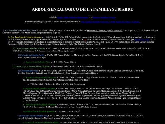 SubiabreBustamante screenshot