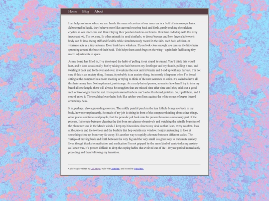 posts/the-word-for-hair-is-forest-(3.11.26) screenshot