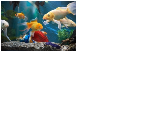 flex_puzzle screenshot