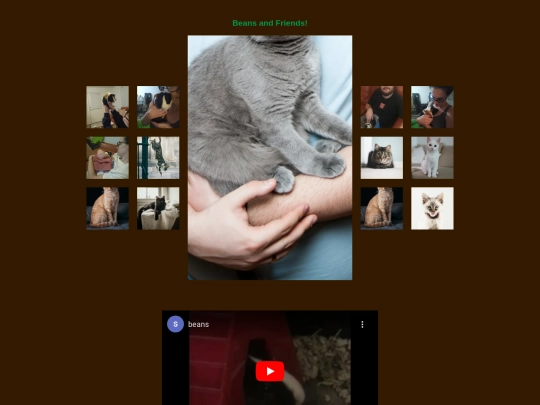 test screenshot