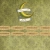 The web site of moonlitattic avatar