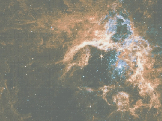 computer screenshot