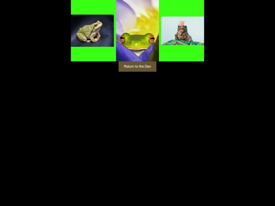 gallery screenshot