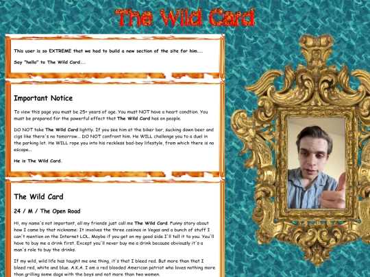wild-card screenshot