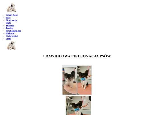 pielegnacja screenshot