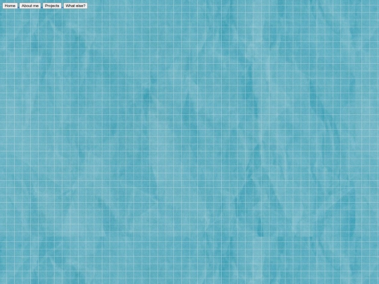 projects screenshot
