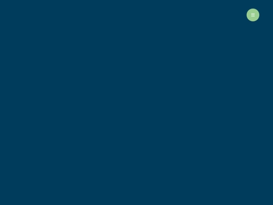 strechy nav/strechynav2 screenshot