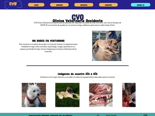 nosotros screenshot
