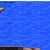bondogggle.yorniq.xyz avatar