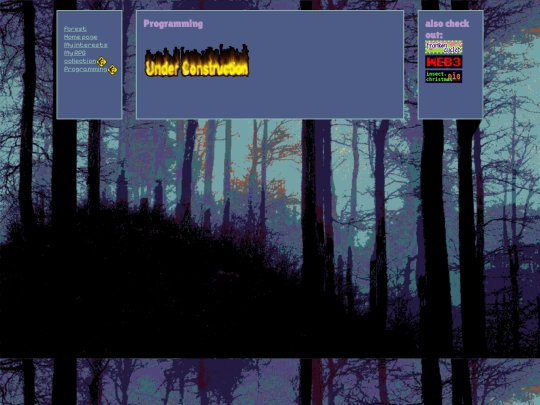 pages/programming screenshot