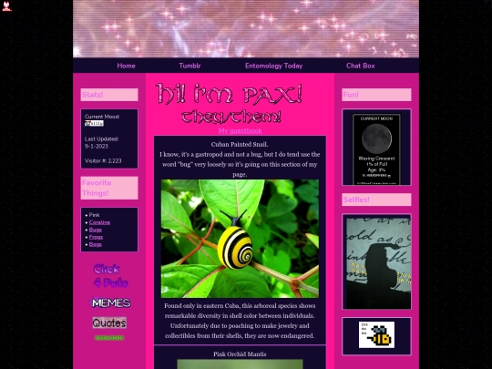 bugs screenshot