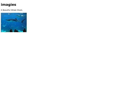 images screenshot