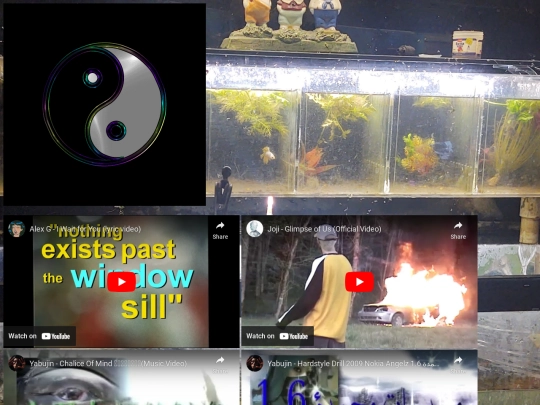Musicvideos screenshot