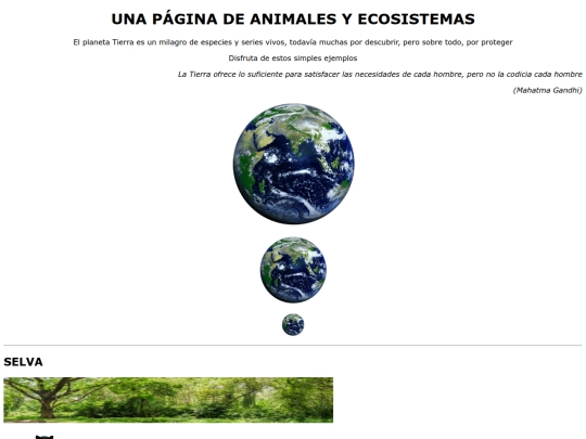 ejercicio05 screenshot