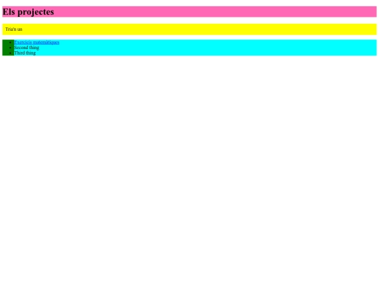 projectes screenshot