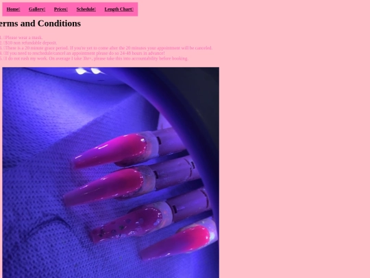 finalproject.html/termsandconditions screenshot
