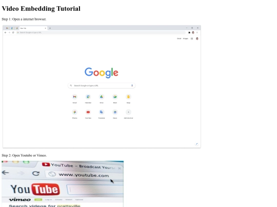 video.html/videoembedding screenshot