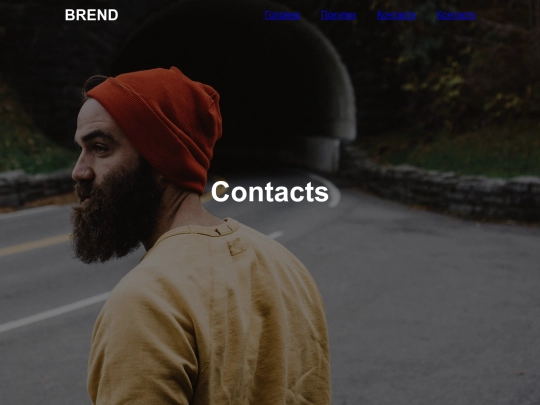 Contacts screenshot