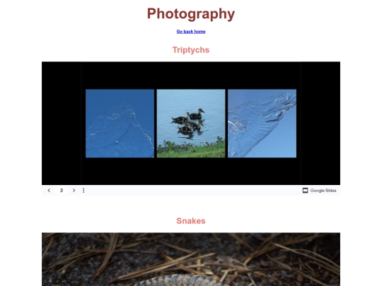 gallery/photos screenshot