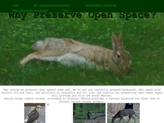 crowdedSchools screenshot