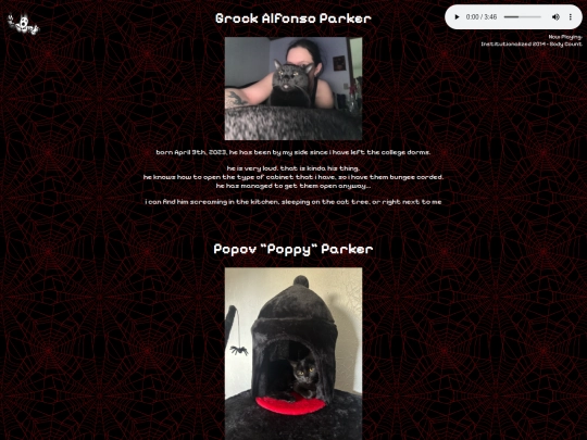 cats screenshot