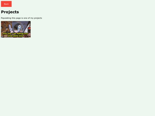 projects screenshot