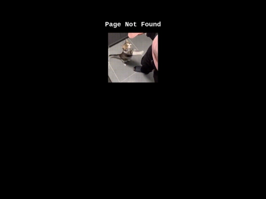 not_found screenshot