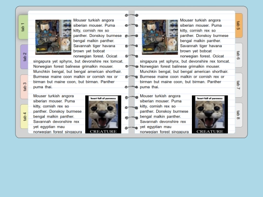 layout_tests/doqmeat_notebook screenshot