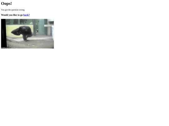 mandrills/mandrillwrong25 screenshot