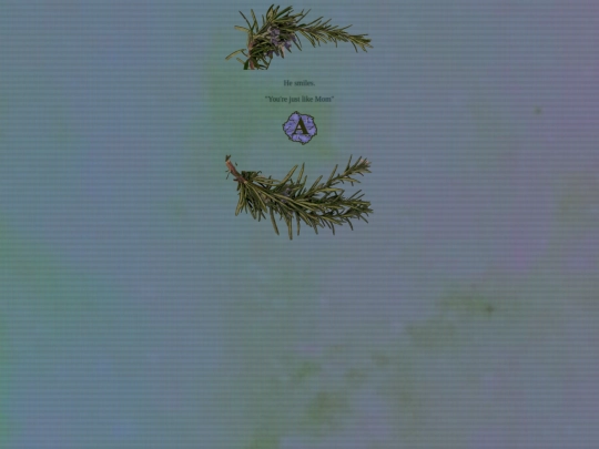 222 screenshot